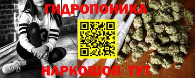 прущие грибы Анапа