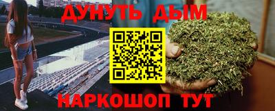 прущие грибы Анапа