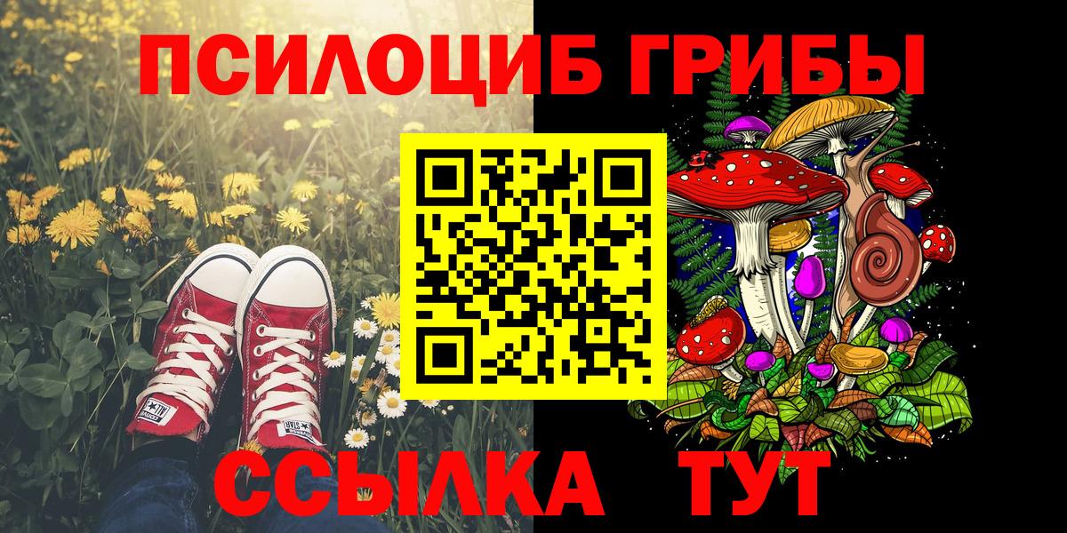 Галлюциногенные грибы мухоморы  Вход с VPN  Псилоцибиновые грибы мицелий  купить наркотики цена  Асино 