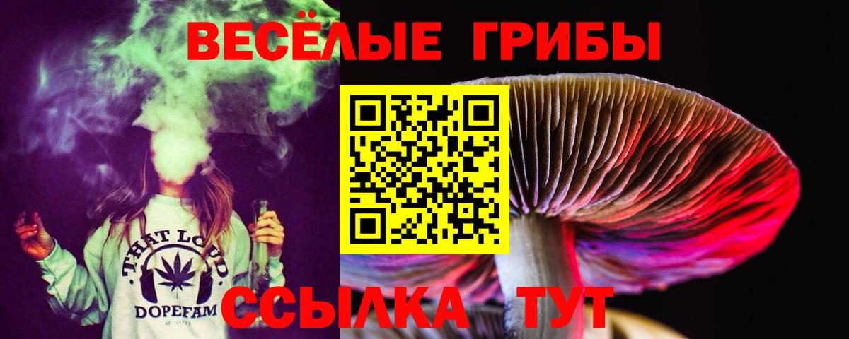 Псилоцибиновые грибы мухоморы Асино