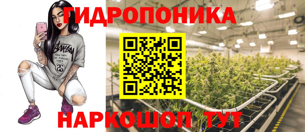 МАРИХУАНА план  Конопля White Widow  Канабис THC 21%  Вход с VPN  Асино 